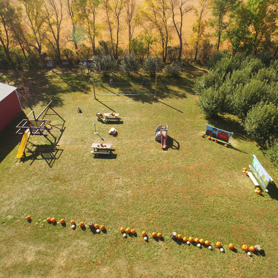Stonegate Orchard Family Owned and Locally Grown Slayton, MN