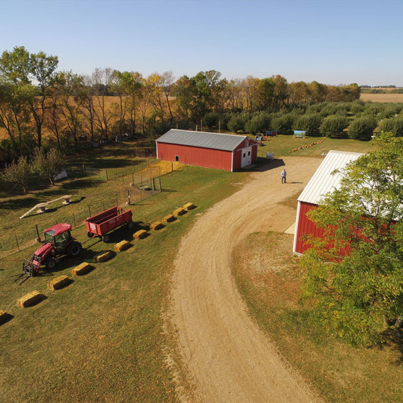 Stonegate Orchard Family Owned and Locally Grown Slayton, MN