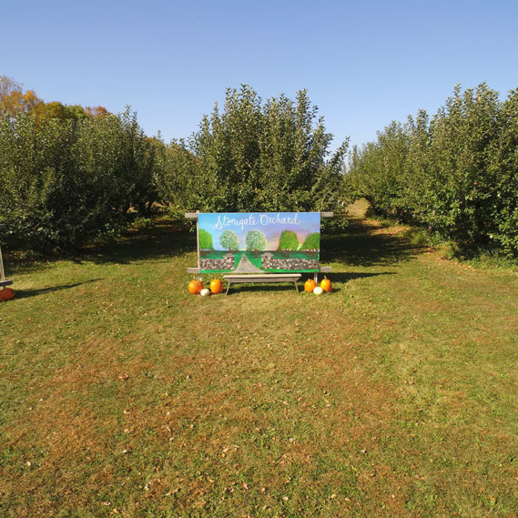 Stonegate Orchard Family Owned and Locally Grown Slayton, MN