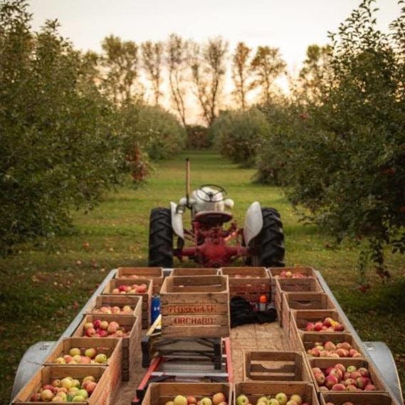 Stonegate Orchard Family Owned and Locally Grown Slayton, MN